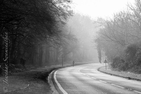 A lone cyclist (early morning in March)