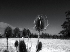 20120407-022849 PM.jpg