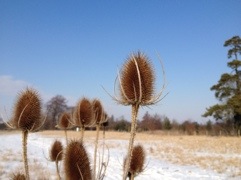 20120407-023047 PM.jpg