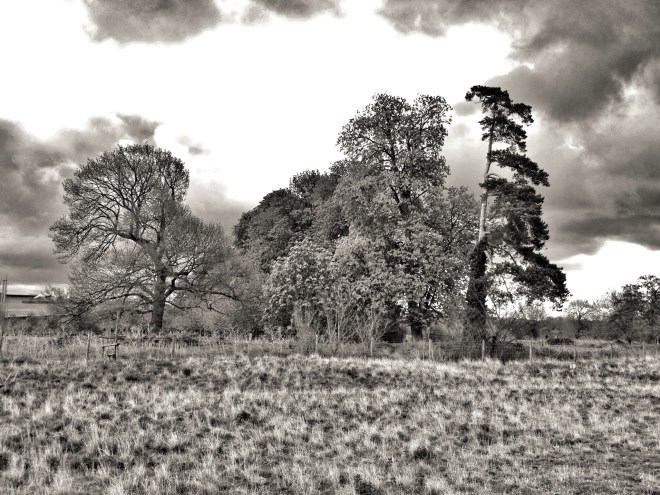 20120429-100852 PM.jpg