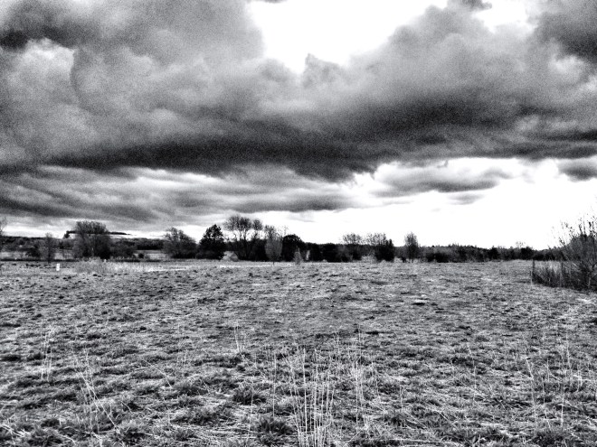 20120429-101054 PM.jpg