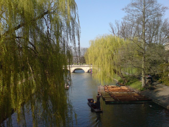 Punting on the Cam