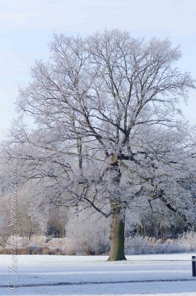 Original middle exposure