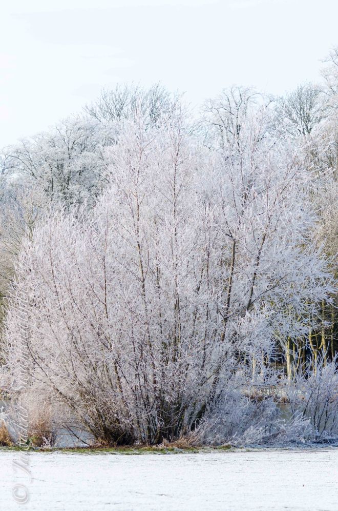 Original middle exposure