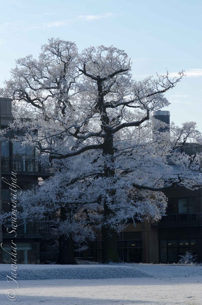 Original middle exposure