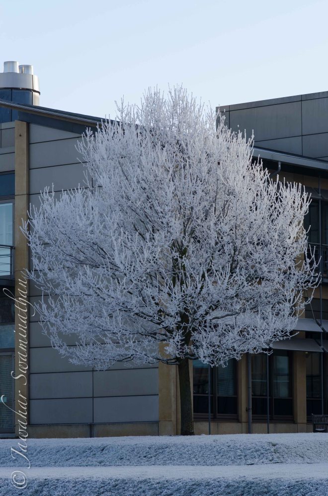 Original middle exposure