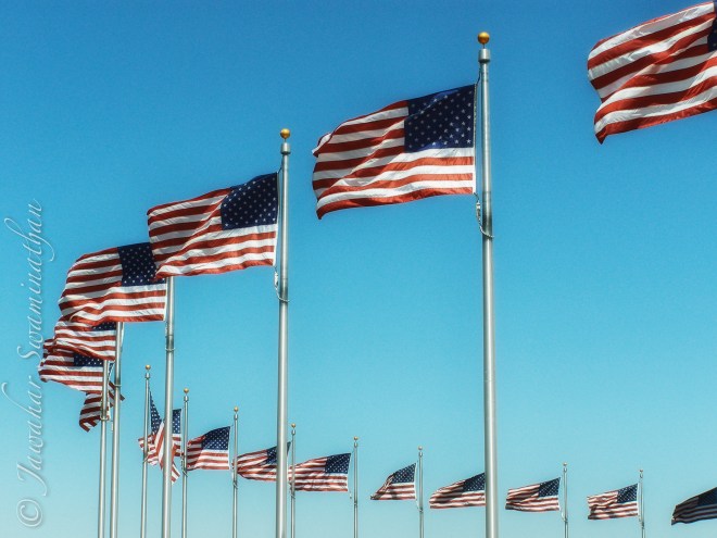 US Flags at the National Monument, Washington DC