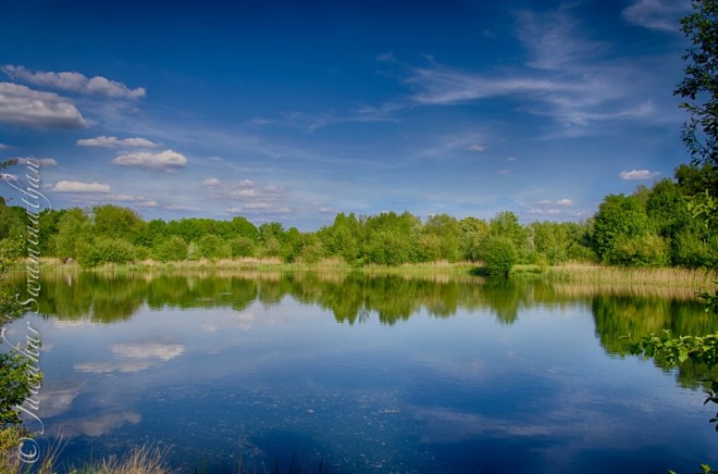 20130616-054504 PM.jpg