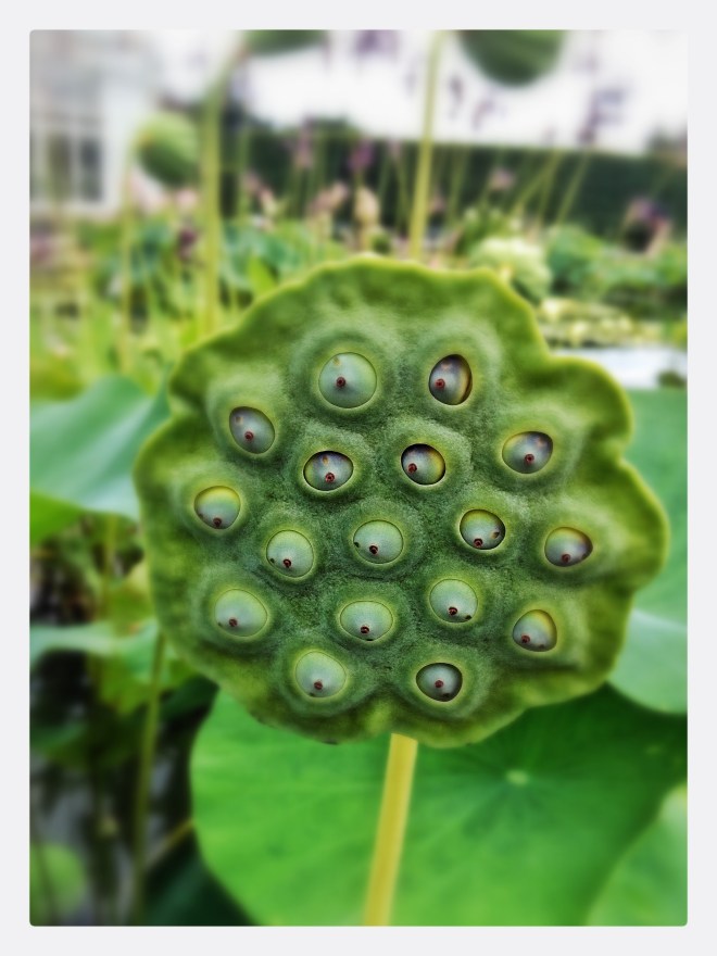 20130808-061201 PM.jpg