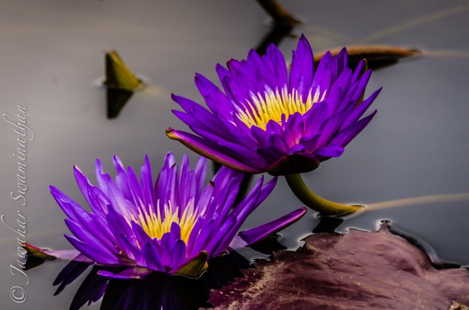 20130831-015244 PM.jpg