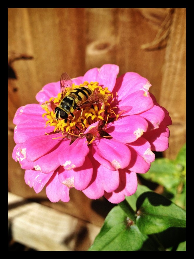 20130908-082749 PM.jpg