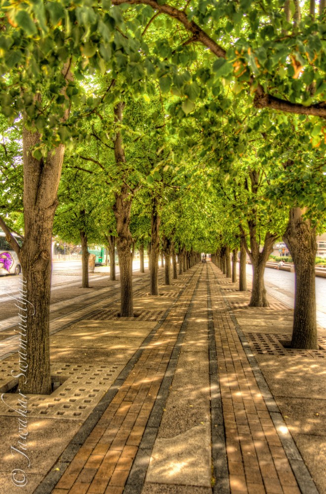 20131004-075640 PM.jpg