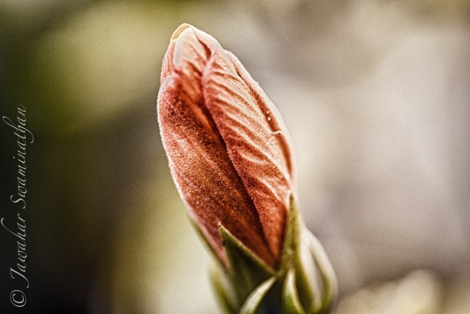 20131029-101605 PM.jpg