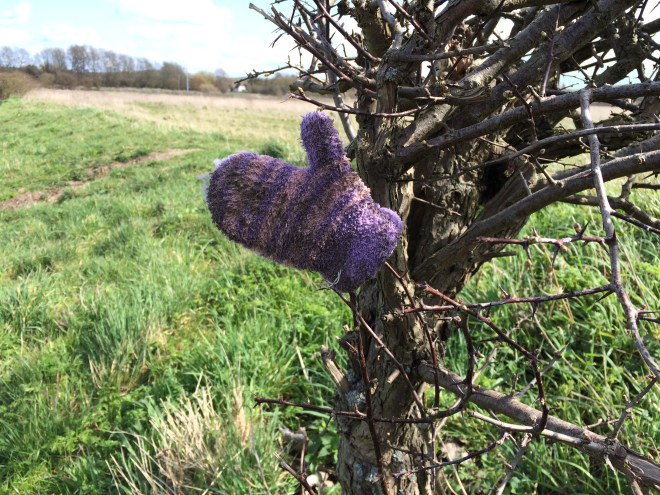 IMG_3016_20160406_131645